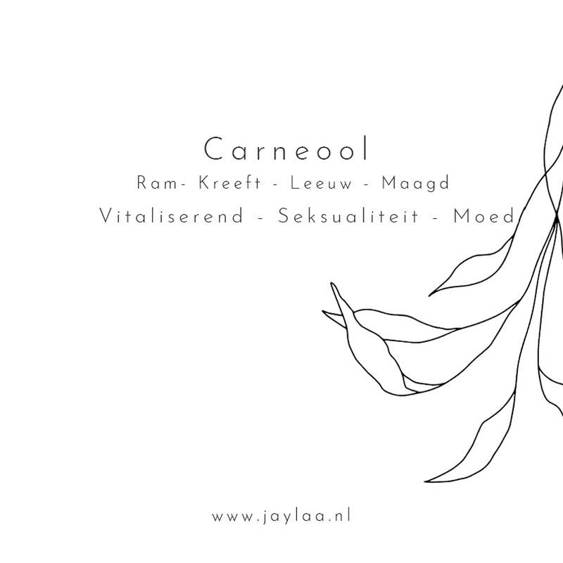 Jaylaa Jewelry - Sieradenkaart, Carneool