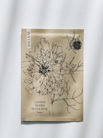 MAY & JUNE - Cosmos Bipinnatus 'Double Dutch Rose' (Cosmea)